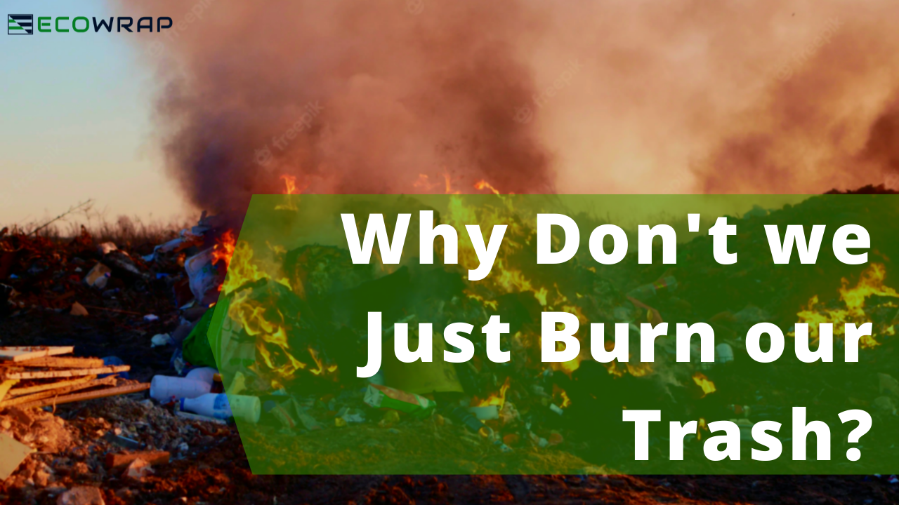 Waste Management Service Company India's First Source Segregation